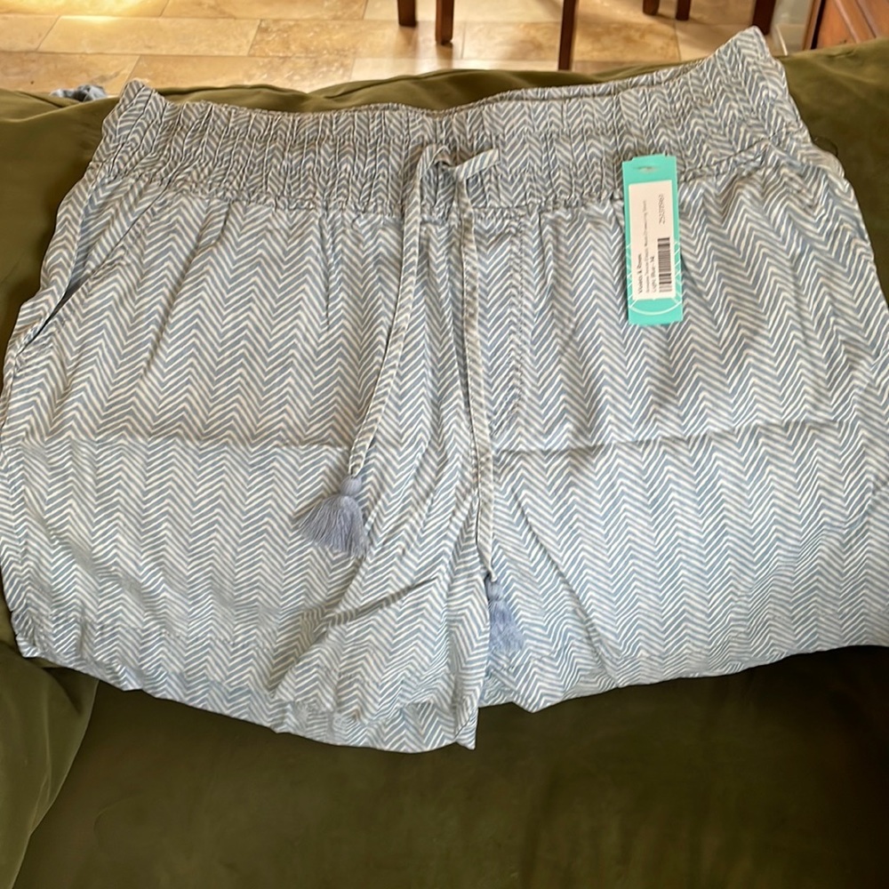 Violets & Roses 14 / 32 blue chevron lyocell shorts nwt